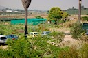 Lynedoch Community Gardens