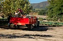 Tractor Ride