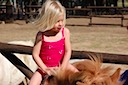 Pony Ride