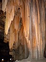 Petrified Wood Formations