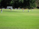 Cricket