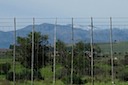 Snowy Mountaintops