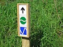 Green Sign